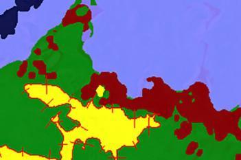 Rat, Joint Damage, SafO+Fast Green