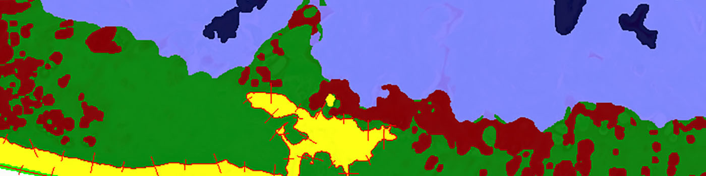 Rat, Joint Damage, SafO+Fast Green