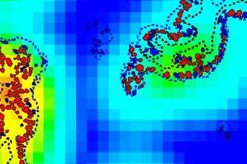 Ki-67, Pancreatic Cancer