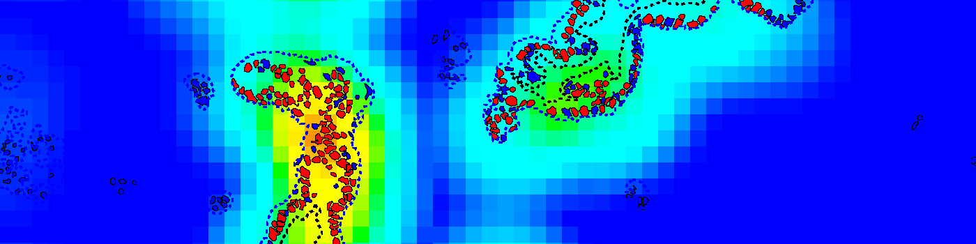 Ki-67, Pancreatic Cancer